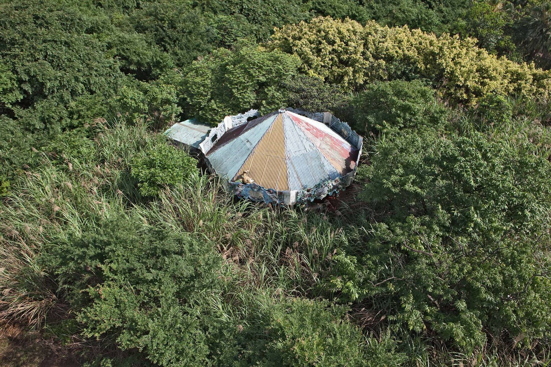 it was a pleasure #11, taiwan, 2010 (merry-go-round reclaimed by nature in a park that was closed due to remote location and lack of thrilling rides)