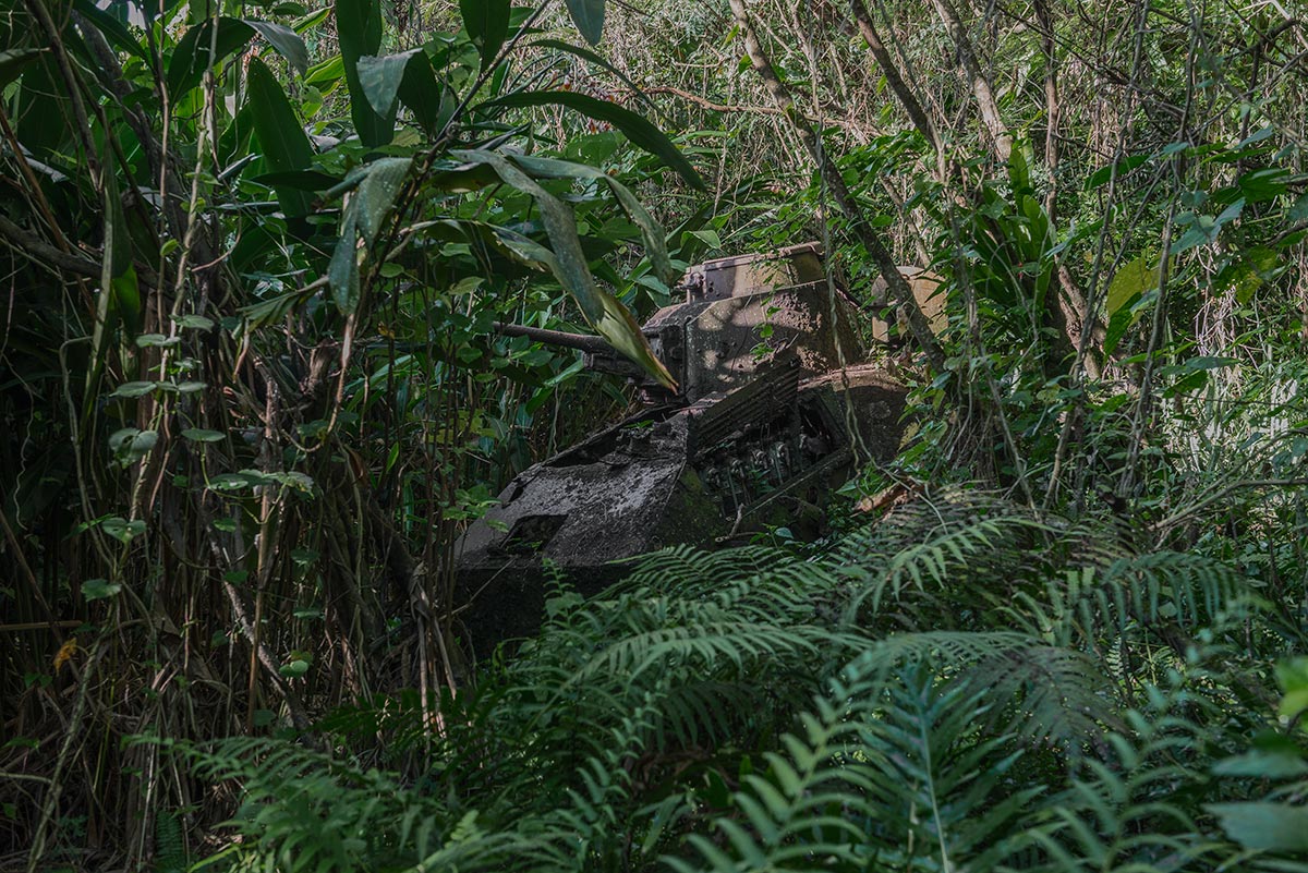rest in peace #74, saipan, 2014 (japanese tank 'hiding' in the bush since more than 70 years)