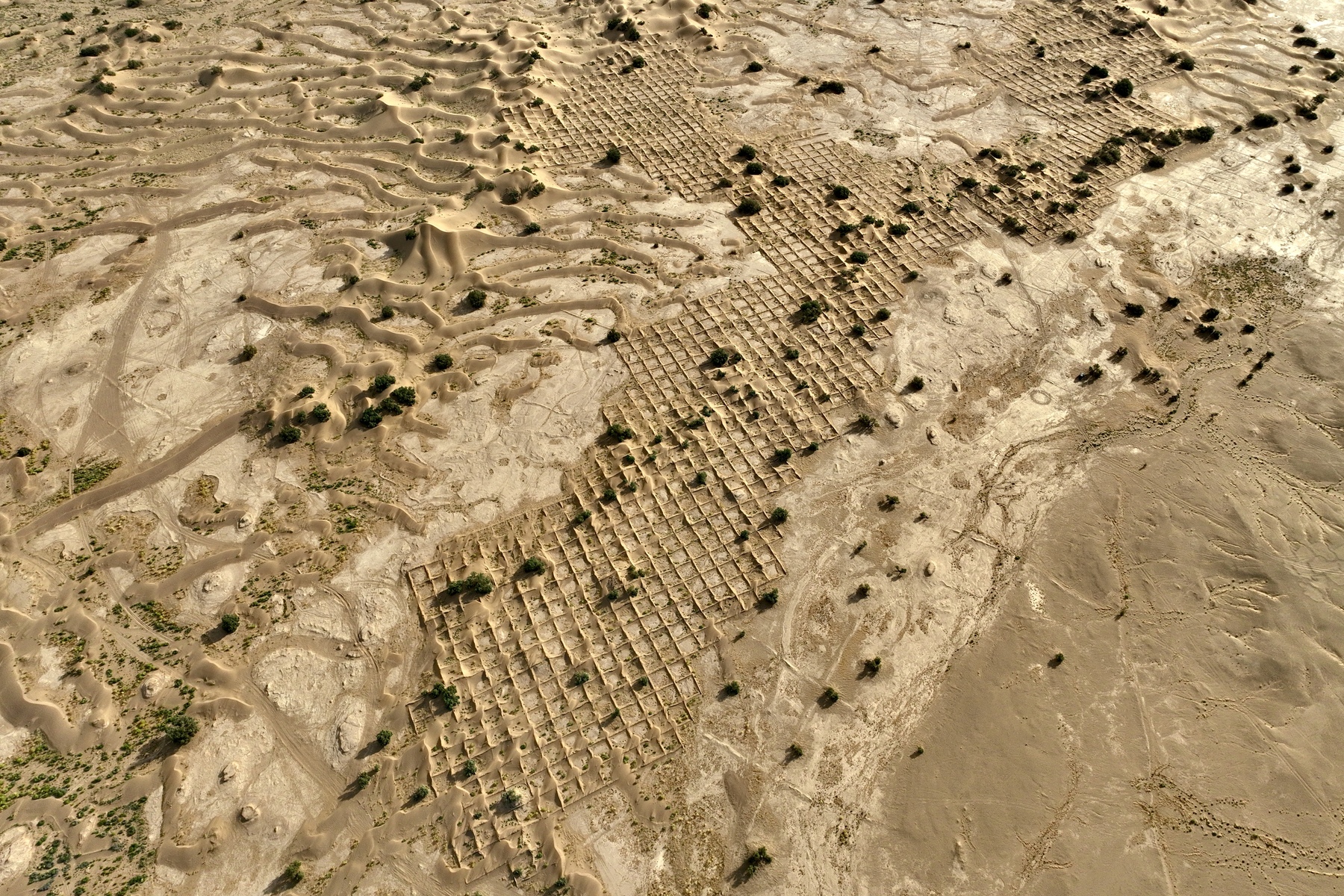 leftscape #45, morocco, 2025